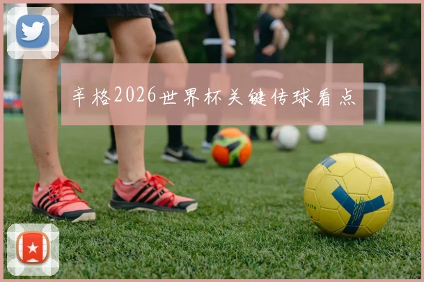 辛格2026世界杯关键传球看点