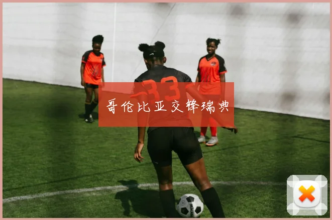 哥伦比亚交锋瑞典