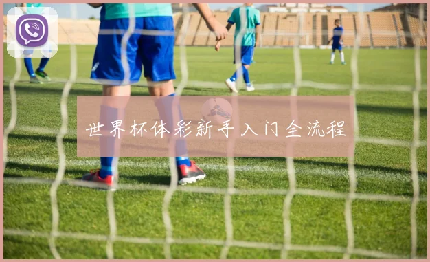 世界杯体彩新手入门全流程