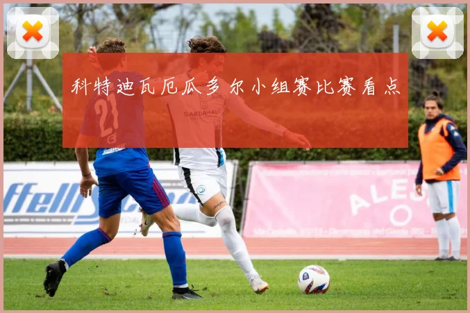 科特迪瓦厄瓜多尔小组赛比赛看点