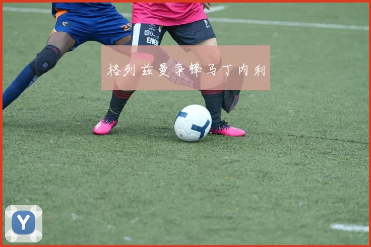 格列兹曼争锋马丁内利