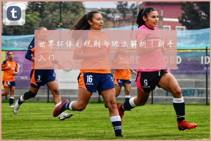 世界杯体彩规则与玩法解析｜新手入门