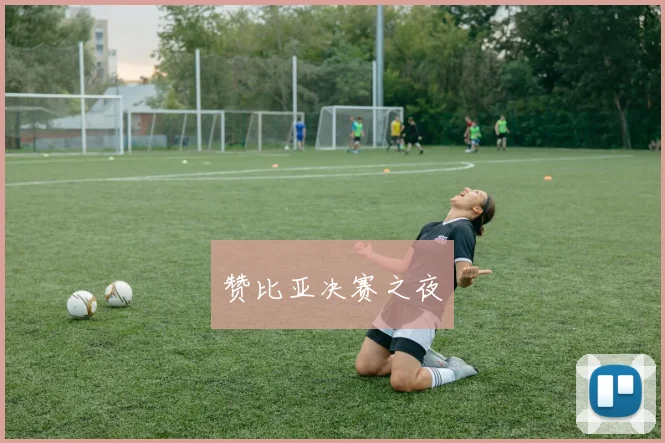 赞比亚决赛之夜