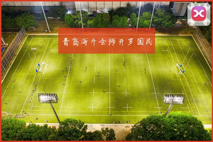 青岛海牛会师开罗国民