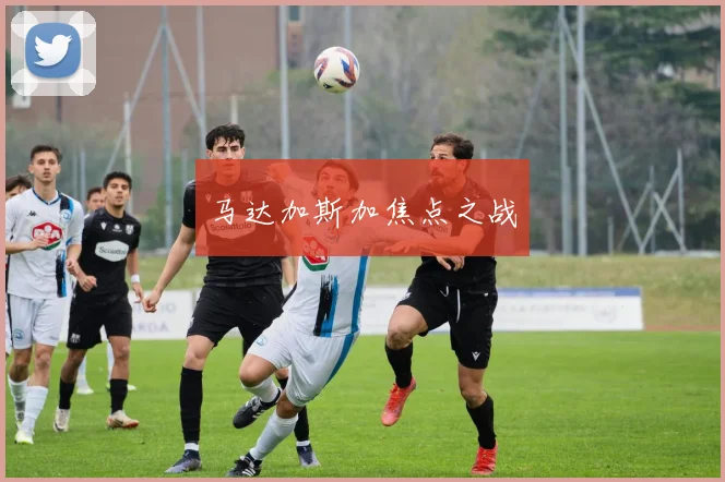 马达加斯加焦点之战