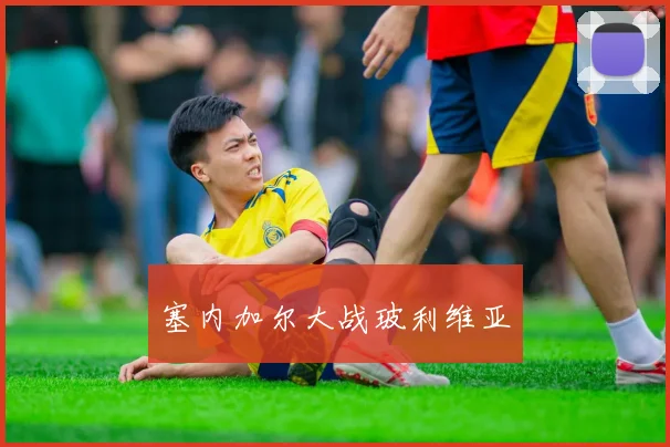 塞内加尔大战玻利维亚