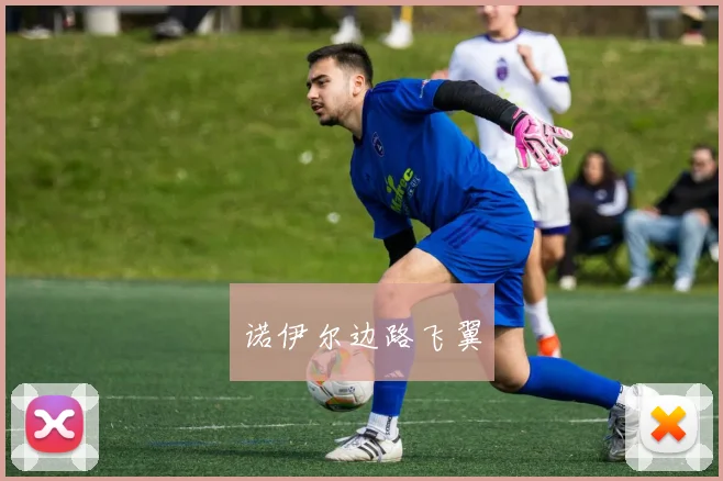 诺伊尔边路飞翼