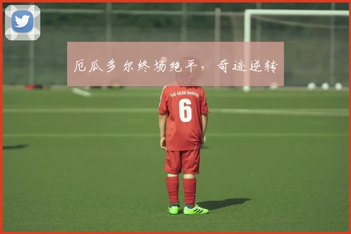 厄瓜多尔终场绝平，奇迹逆转