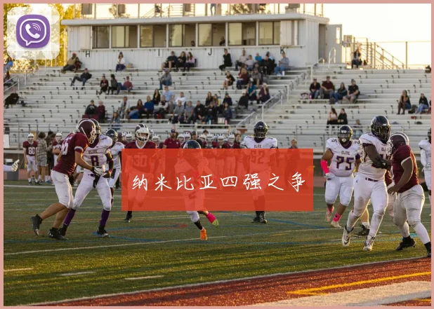纳米比亚四强之争