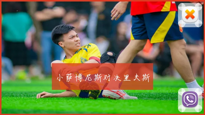 小萨博尼斯对决里夫斯