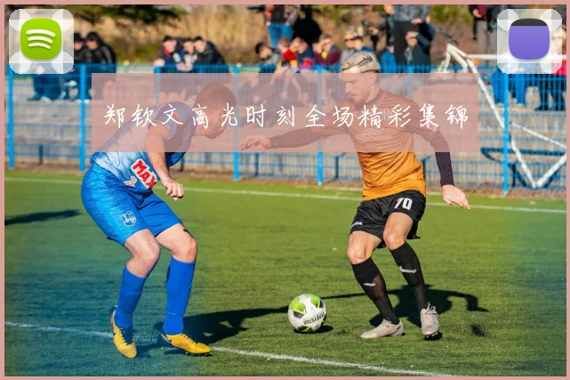 郑钦文高光时刻全场精彩集锦