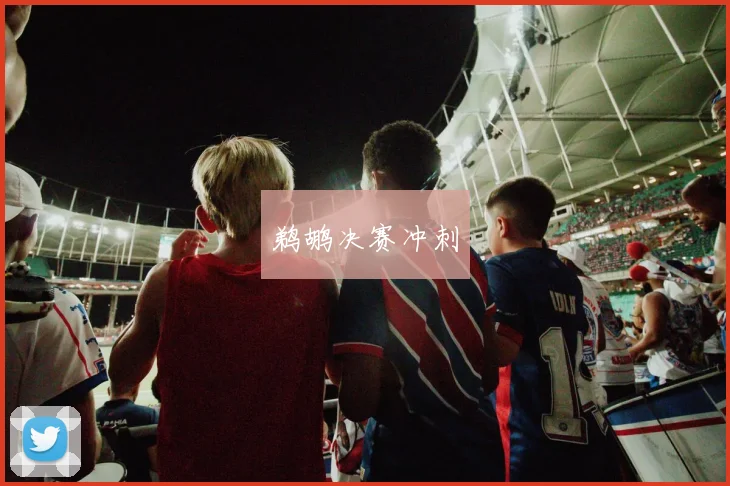 鹈鹕决赛冲刺