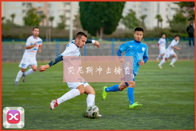突尼斯冲击榜首