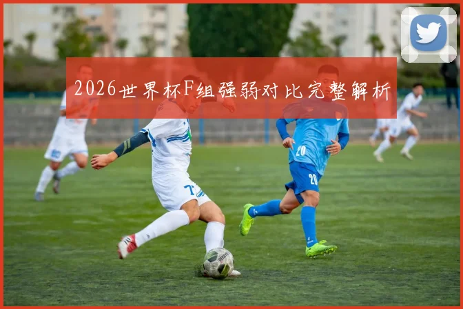 2026世界杯F组强弱对比完整解析