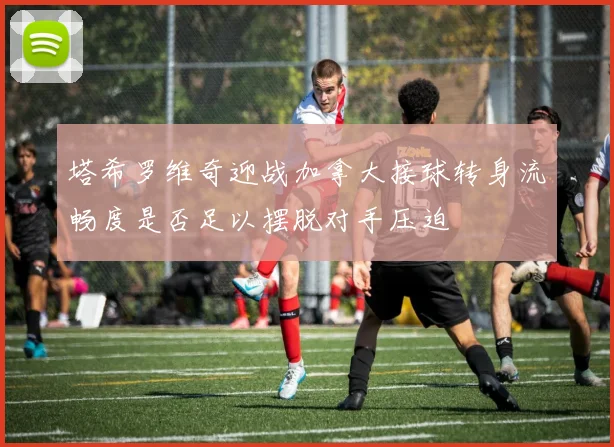 塔希罗维奇迎战加拿大接球转身流畅度是否足以摆脱对手压迫