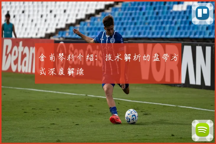 舍甫琴科介绍:技术解析的盘带方式深度解读